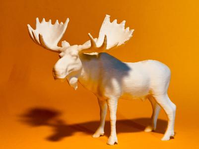 EUROPEAN ELK Animal Collection #06