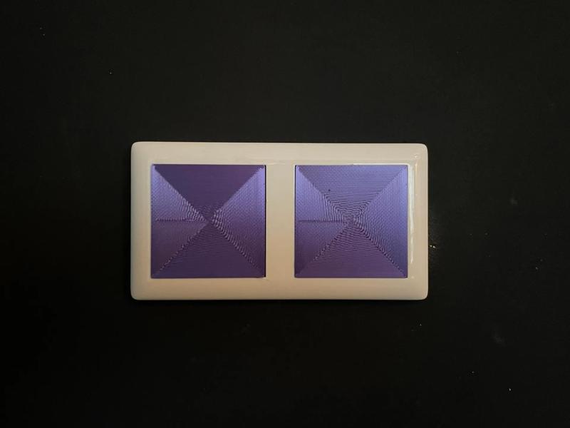 Gira System 55 Switch cover v2