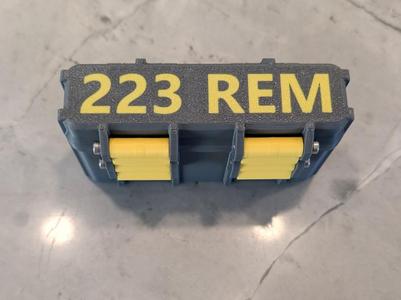 223 Remington 20rnd Ammo Box