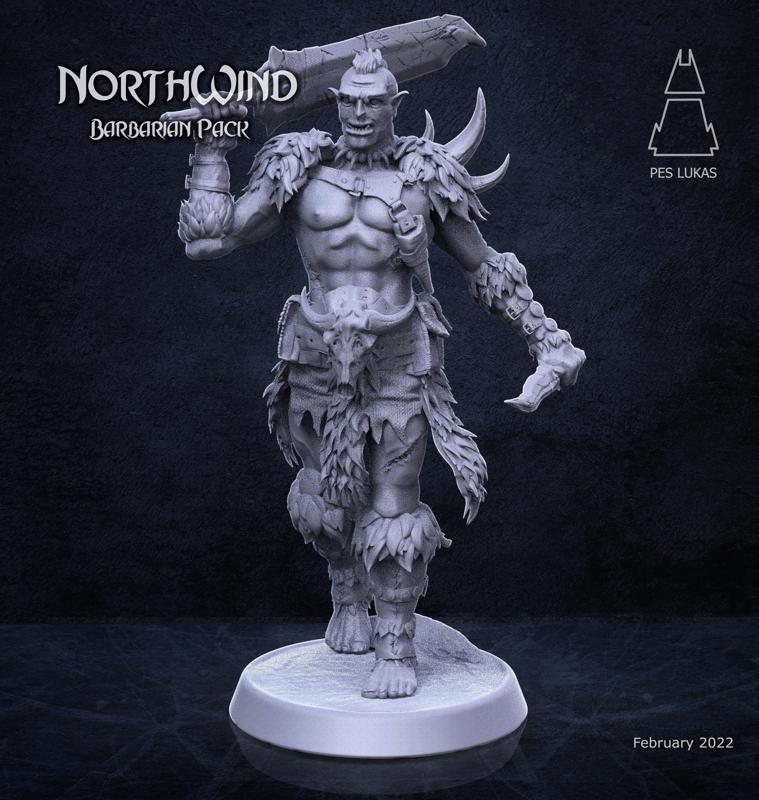 Barbarian Half-Orc