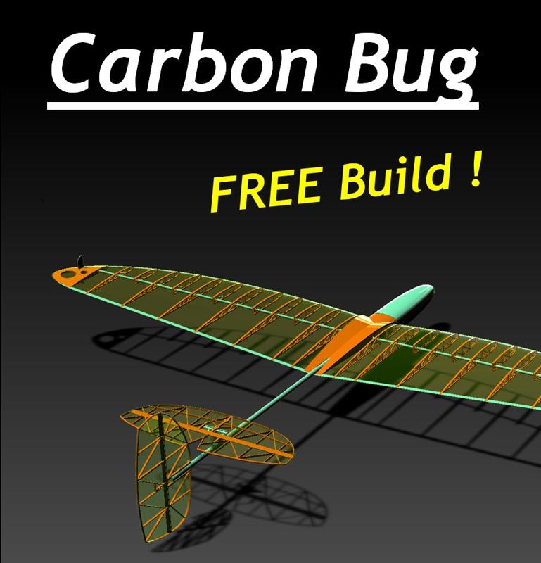 Carbon Bug - 3D Printed DLG