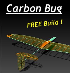 Carbon Bug - 3D Printed DLG