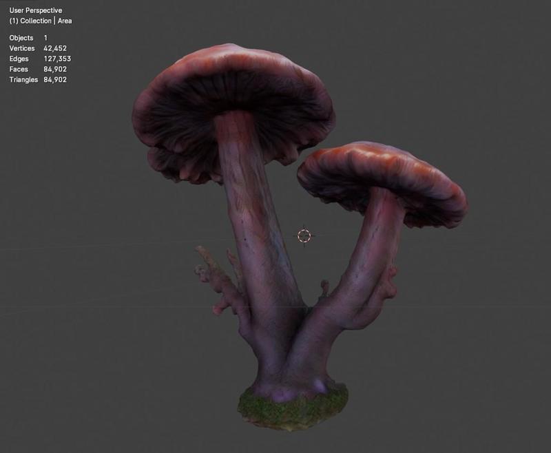 Rotting Mushroom