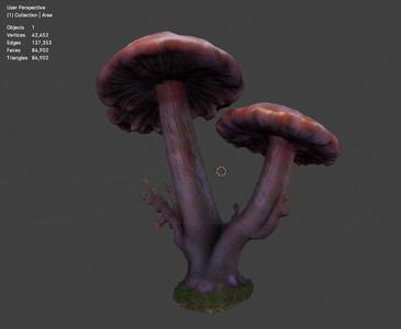 Rotting Mushroom