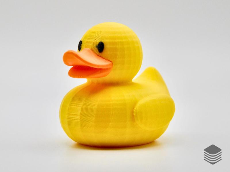 Normal Duck