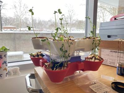 Grea Plant Tower