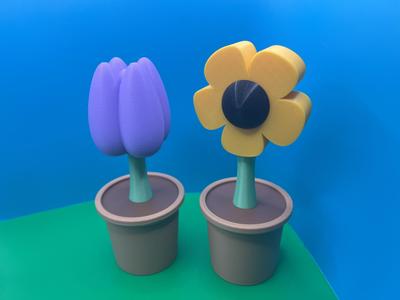 Pot Pals: Potted Desk Plants