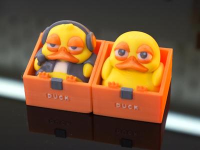 Duck - Boxedables