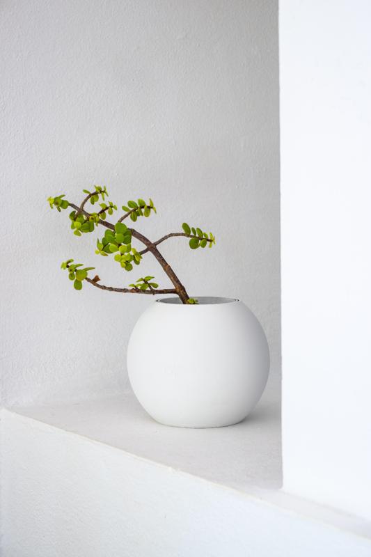 Planter | Boem x Minimalissimo