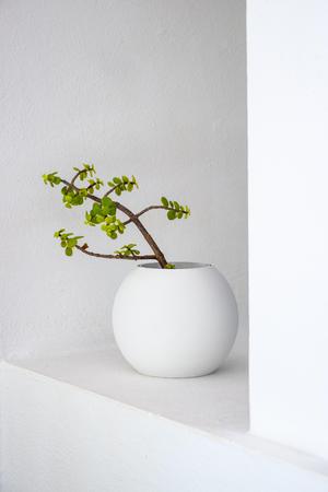 Planter | Boem x Minimalissimo