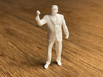 Small Donald Trump
