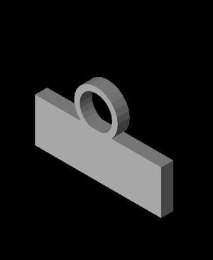 TVS Keychain