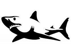 Shark Stencil