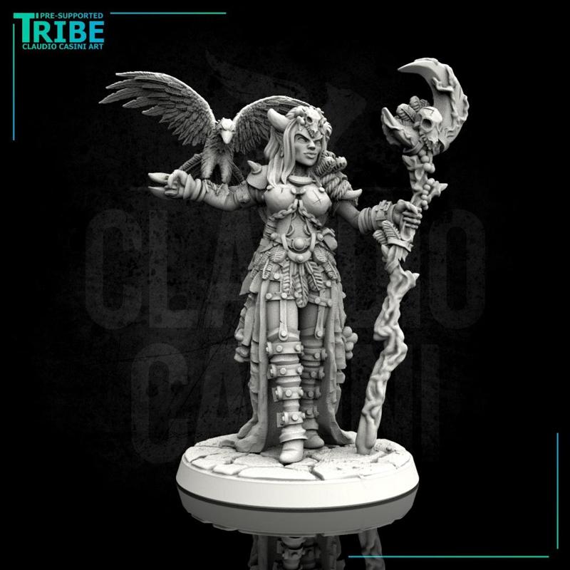 (0028) Female human elf half orc tiefling sorceress with rapacious