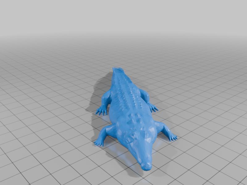 crocodile