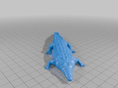 crocodile
