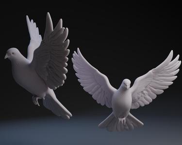 Nativity Dove