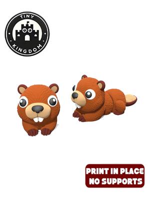 Flexi Tiny Beaver