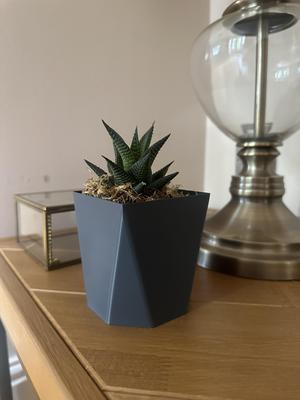 Octagon Vase Mode Pot/Planter