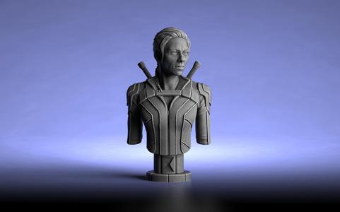 Black Widow Bust (Pre-Supported)