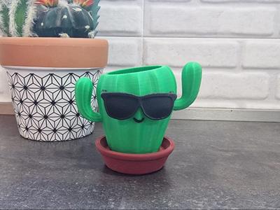 Cool Cactus Pen Holder – Fun Pot with Sunglasses