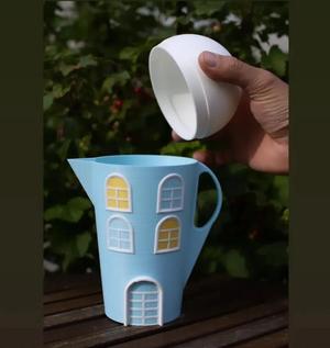 HOUSE JUG
