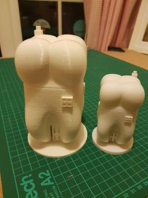 Tooth Fairy House