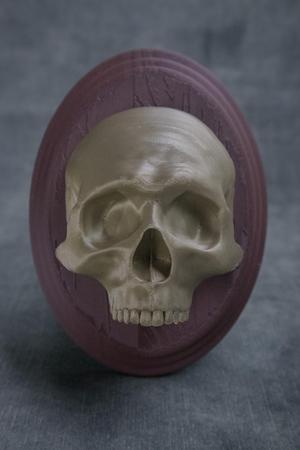 Skull Sconce (Pre Supported)