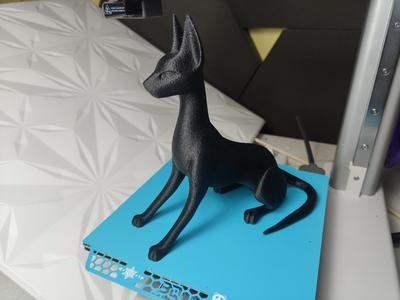 Anubis Elegance