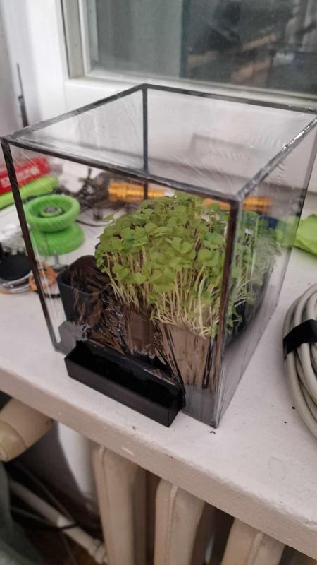 Simple Greenhouse