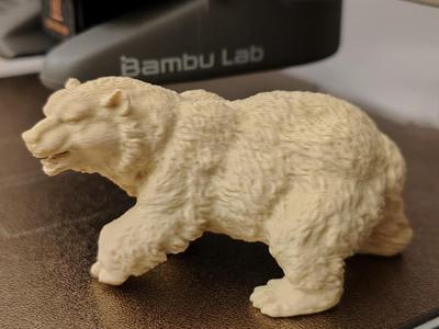 Natural Bear