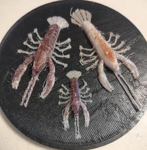 Crawdad Soft Bait Lures