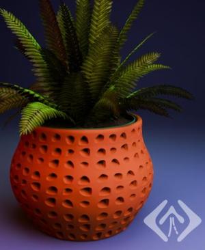 The Air Vase