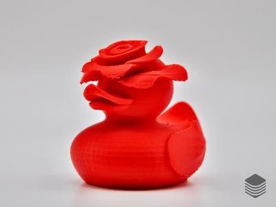 Rose Duck