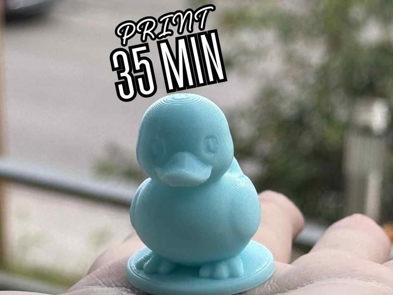 Cute Sitting Duck – 35 Min print