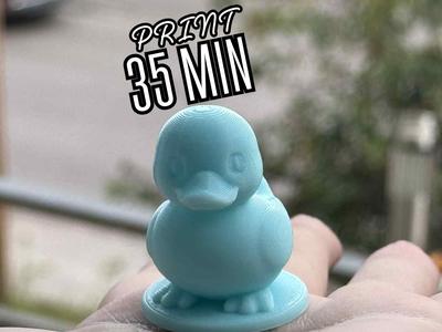 Cute Sitting Duck – 35 Min print