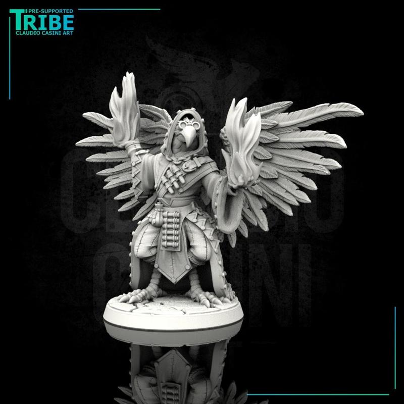 (0077) Male featherfolk birdman wizard with flame spell