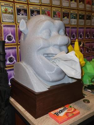 Shrek Tissue Box Base