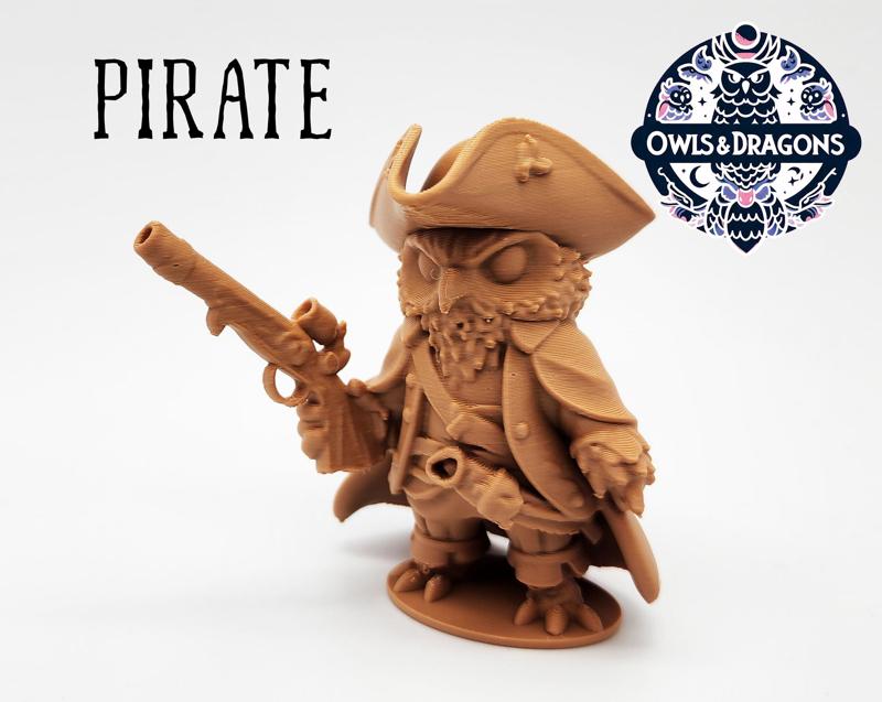 The Pirate - Owls & Dragons