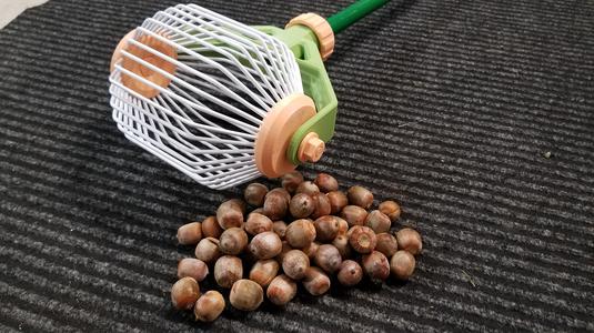 Nut Collector/Grabber
