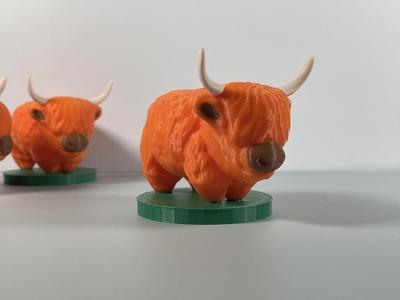 ANIMAL SERIES - HIGHLAND COW