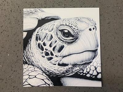 turtle