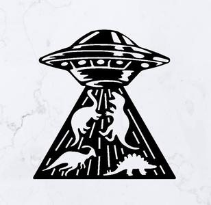UFO Abduction