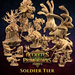 Acolytes of The Primordials Pt. 2 Army | Soldier Tier | PRESUPPORTED