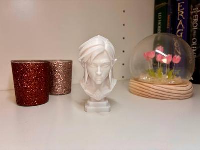 Link bust