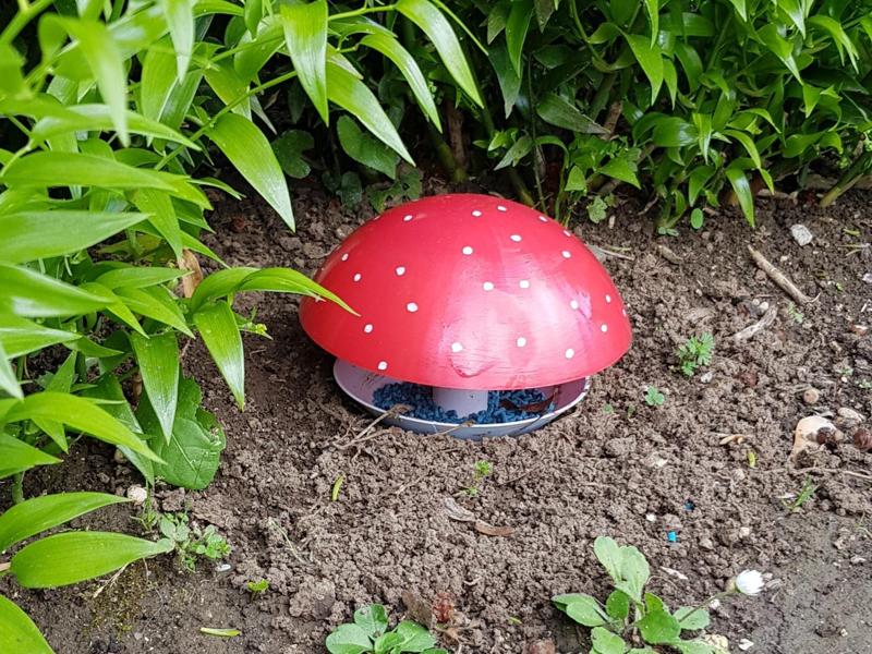 Mushroom Snail Trap - Slug Trap