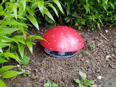 Mushroom Snail Trap - Slug Trap
