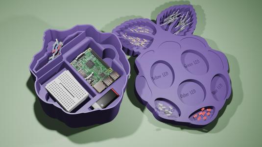 Raspberry Pi Themed Sorting Tray