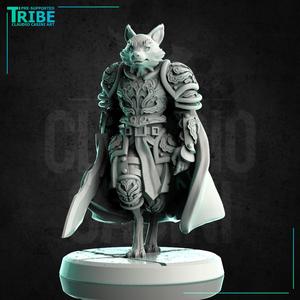 (0244) Male fox folk warrior cleric with a complete armor and a sword