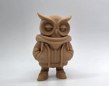 Hoodie Owl